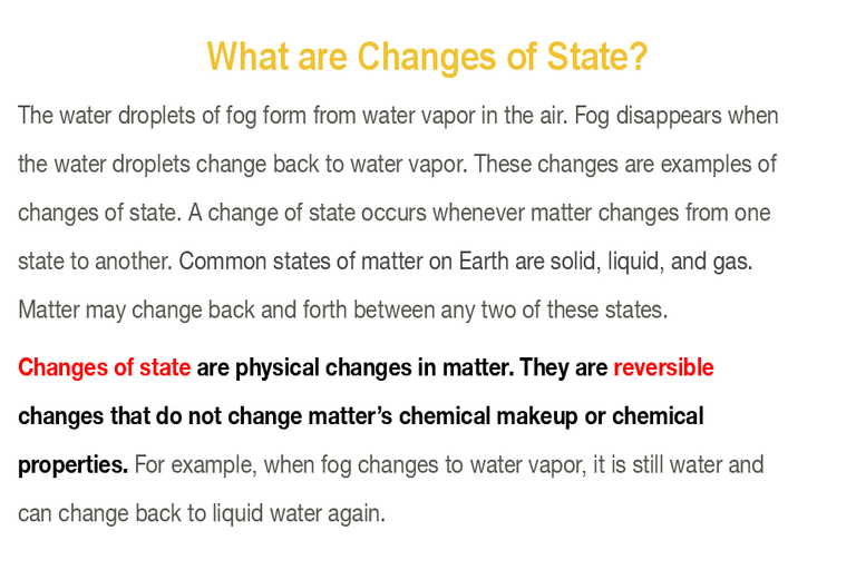 media
