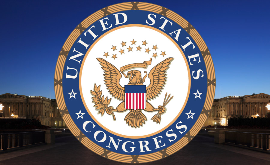 The Legislative Branch