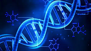 Life Sci: DNA Structure and Replication