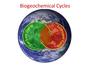 Biogeochemical Cycles Review
