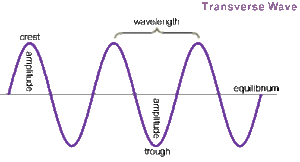  Waves and Energy Transfer