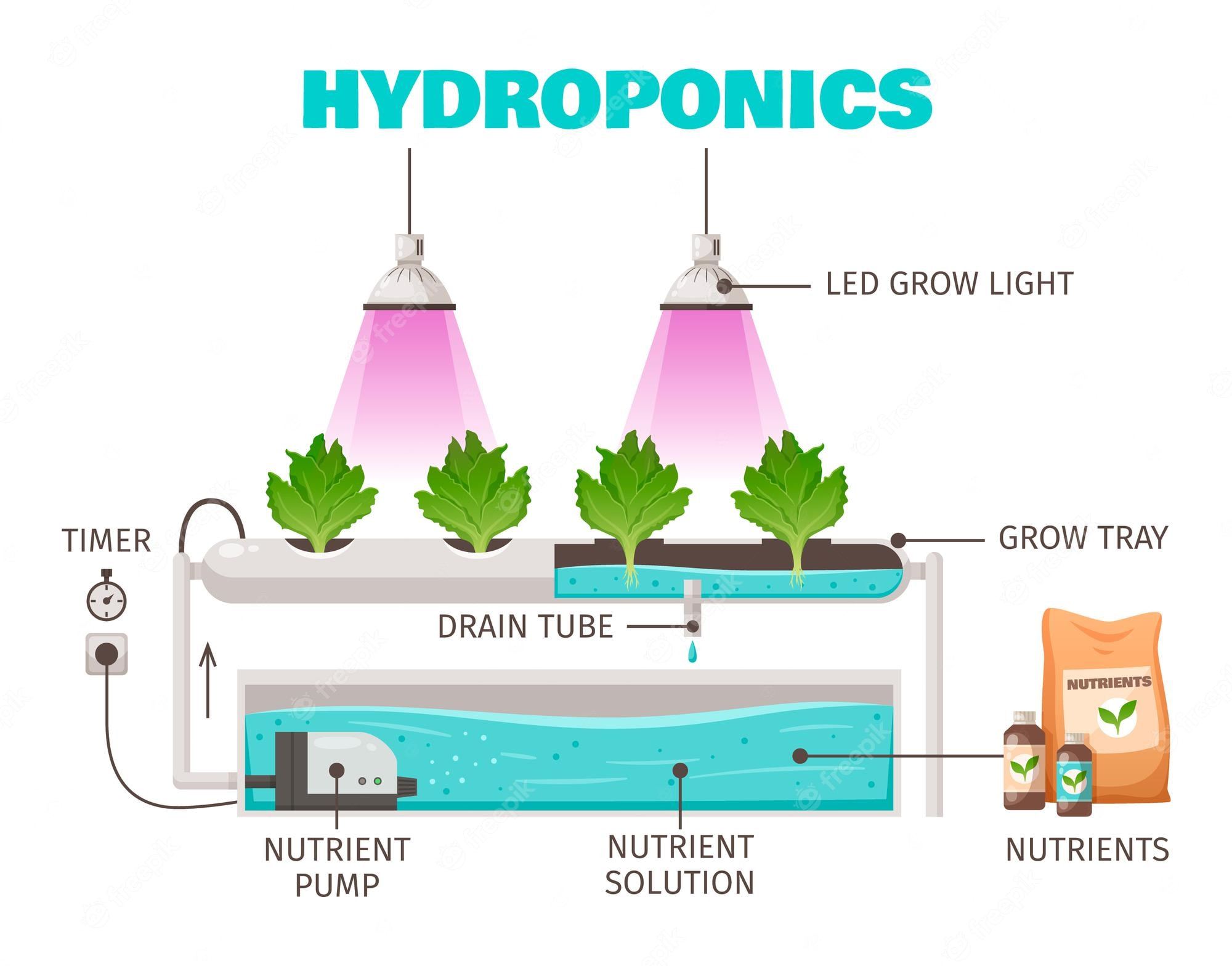 Hydroponics and Plant Growth Concepts
