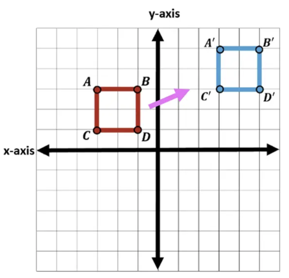 Pre-Algebra MidTerm Review
