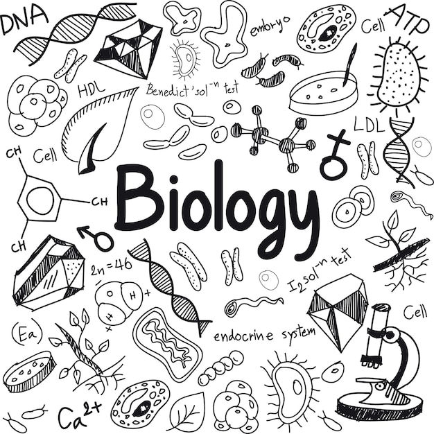 Repaso del examen final de otoño de Biología