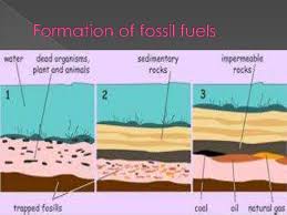 Understanding Fossil Fuels &  Coal Ms. Maglasang