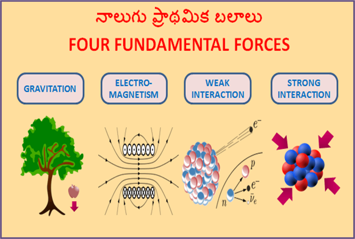 Fundamental Forces and Nuclear Reactions