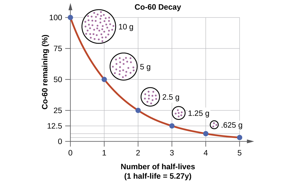 Absolute vs Relative Dating 