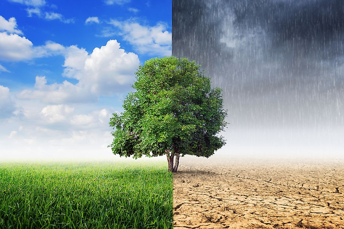 Weather and Climate Flashcard