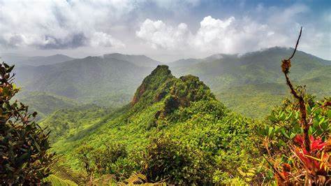 Recursos Naturales en Puerto Rico
