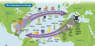Unit 7: Columbian Exchange, Atlantic Slave Trade, Commercial Rev