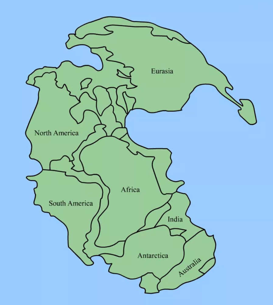Continental Drift and Plate Tectonics review 1