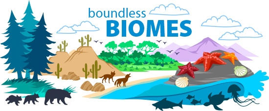 Introduction to Biomes