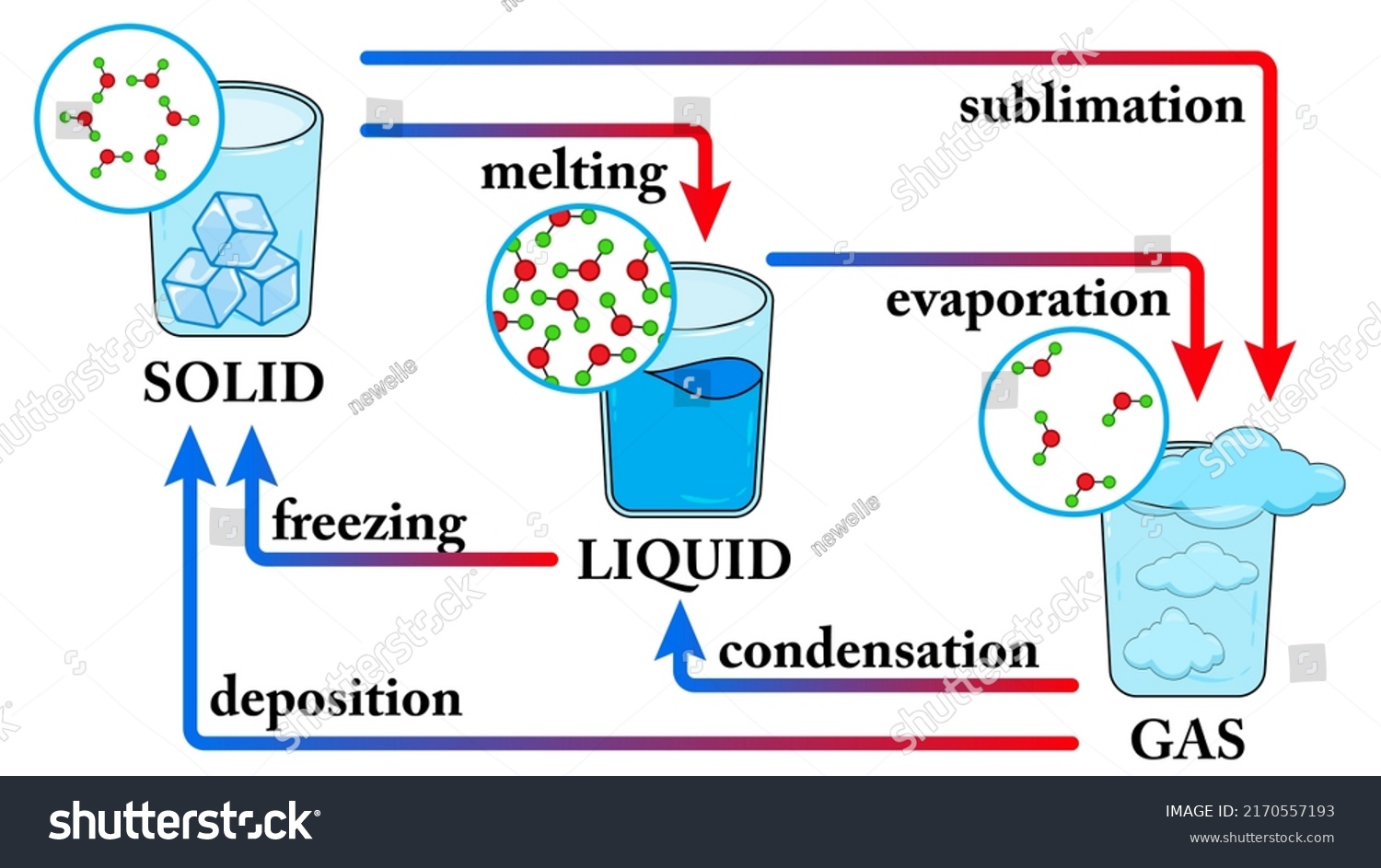 Unit 3 Matter 8th Grade Flashcard | Wayground (formerly Quizizz)