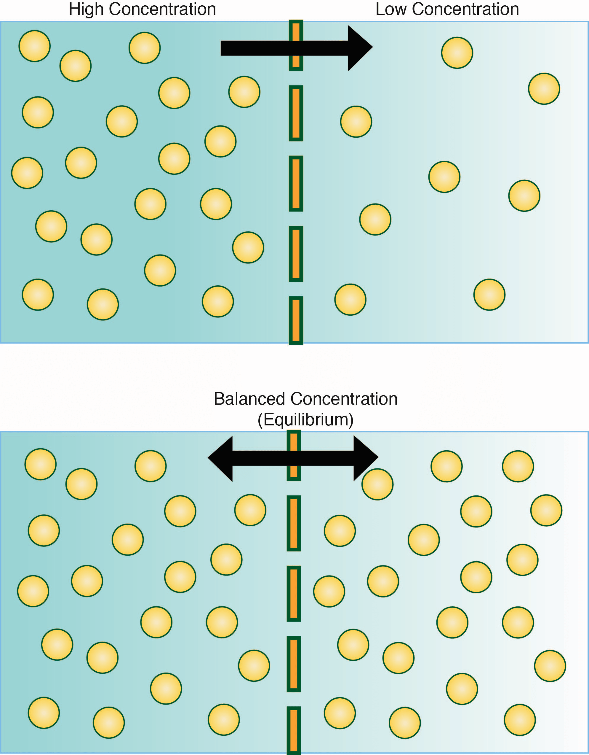 Passive Transport Concepts and Mechanisms