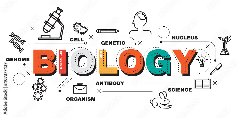 BIOLOGY Midterm Review Part 2 10th Grade Flashcard | Wayground