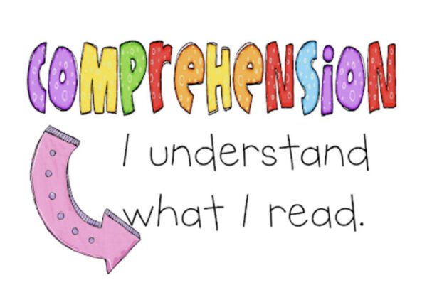 Main Idea Comprehension Questions