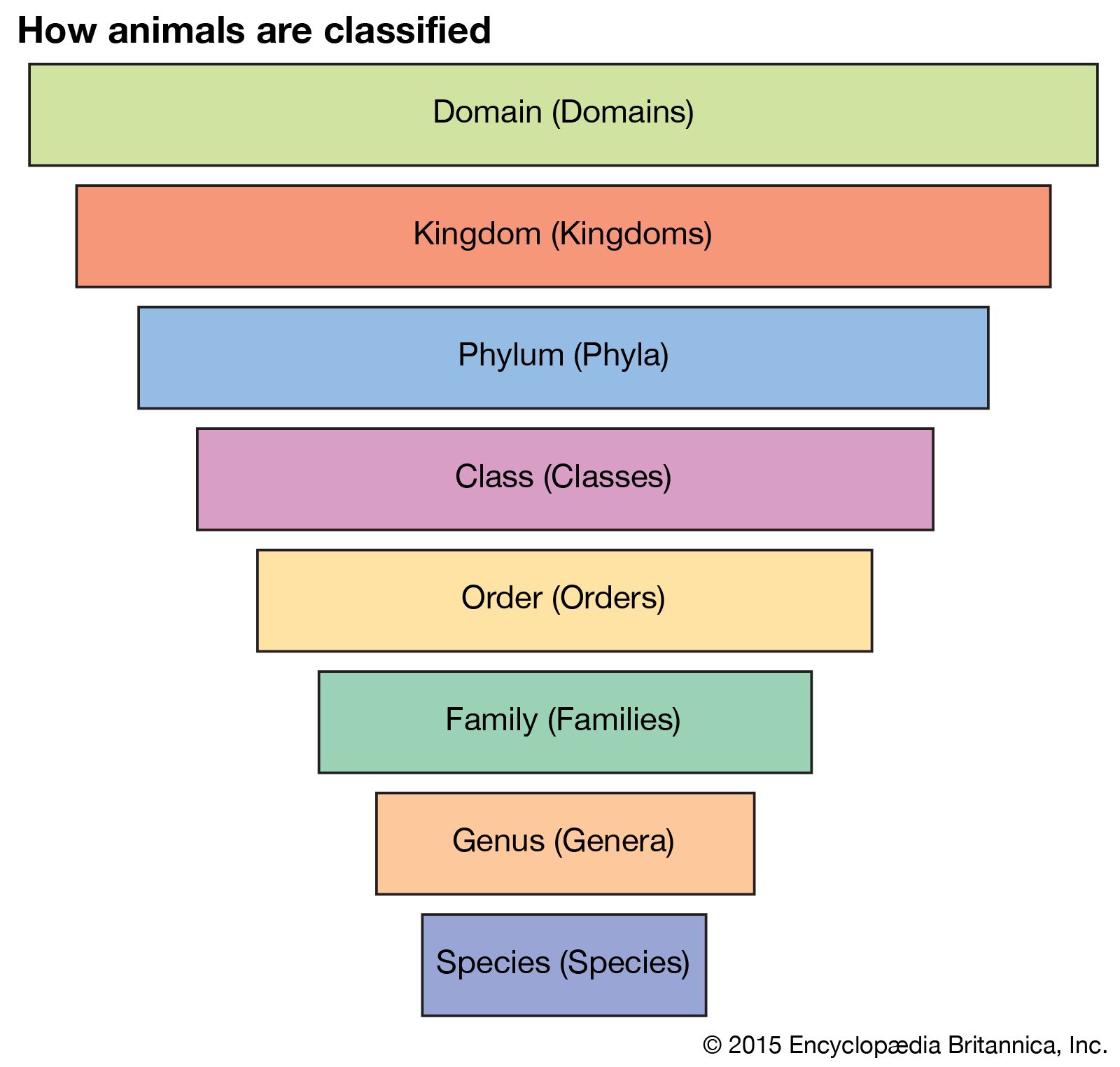 6th Review Characteristics of Organisms