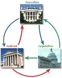 The Three Branches and Three Levels of Government Quiz