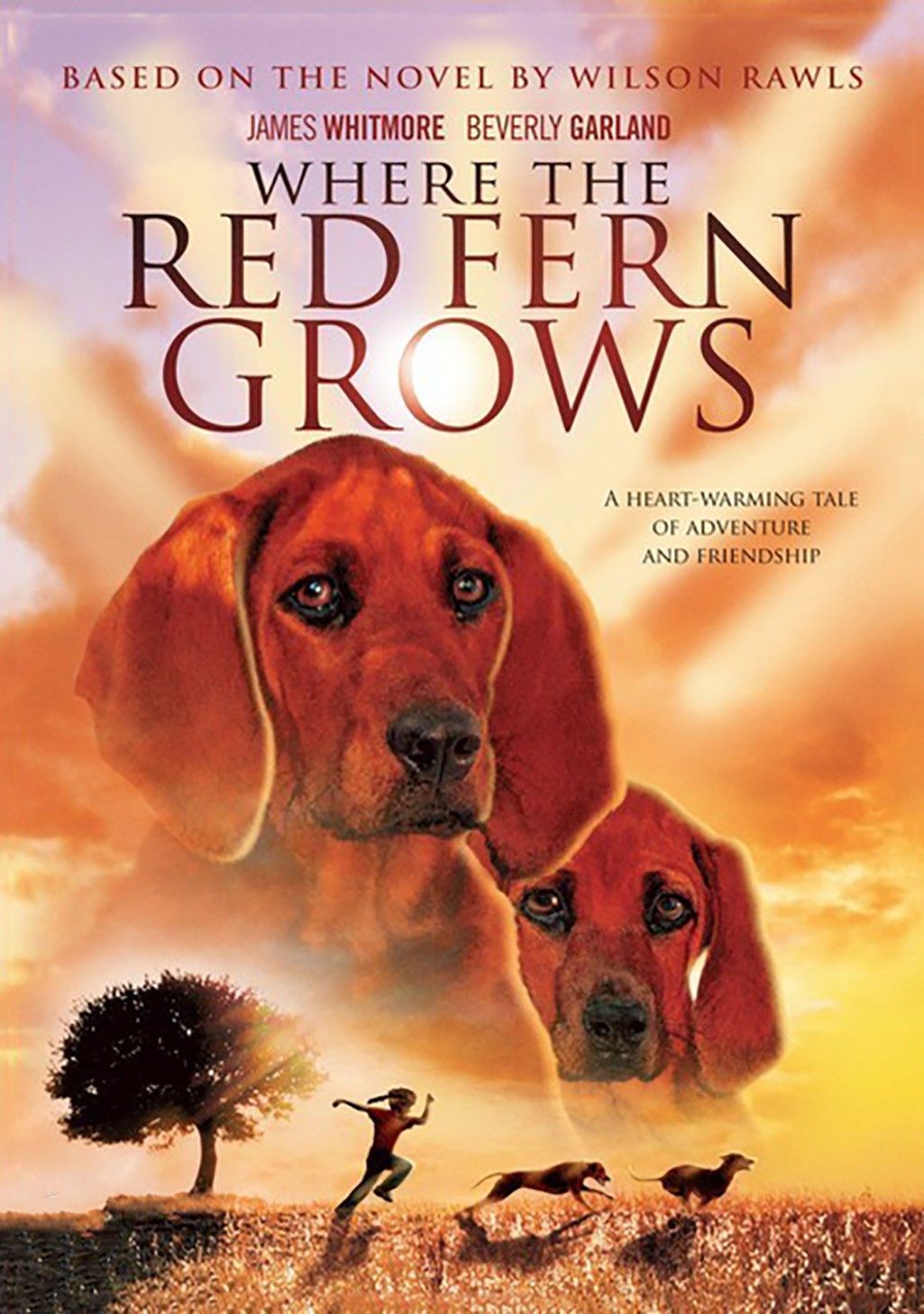 Where the Red Fern Grows Chapters 19-20 Review