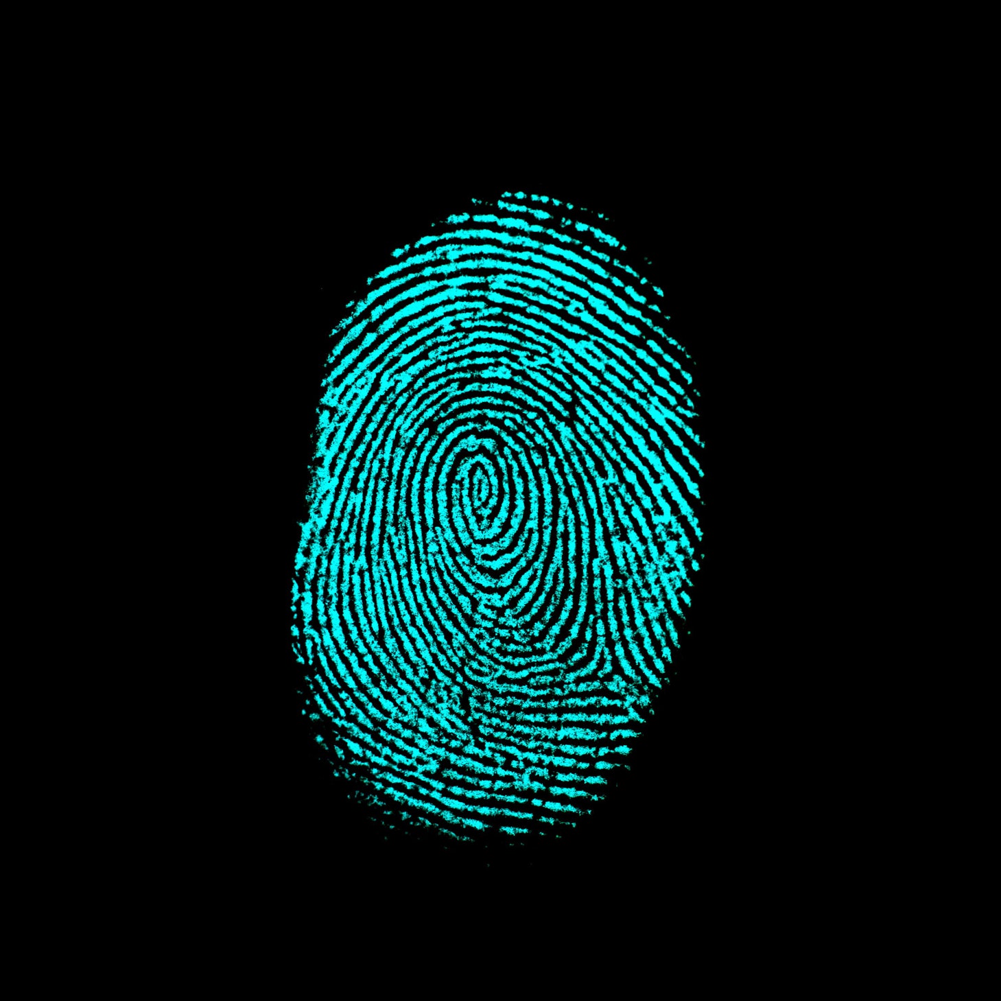 F-Fingerprint Analysis Flashcard