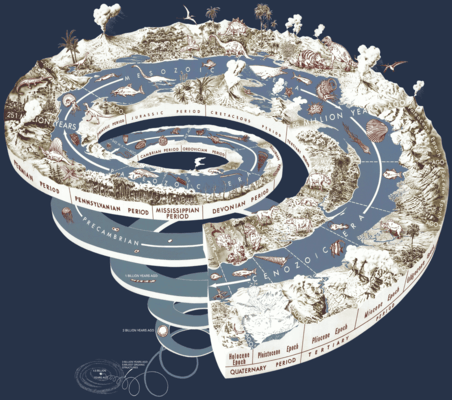 Fossils and Geologic Time Test Review
