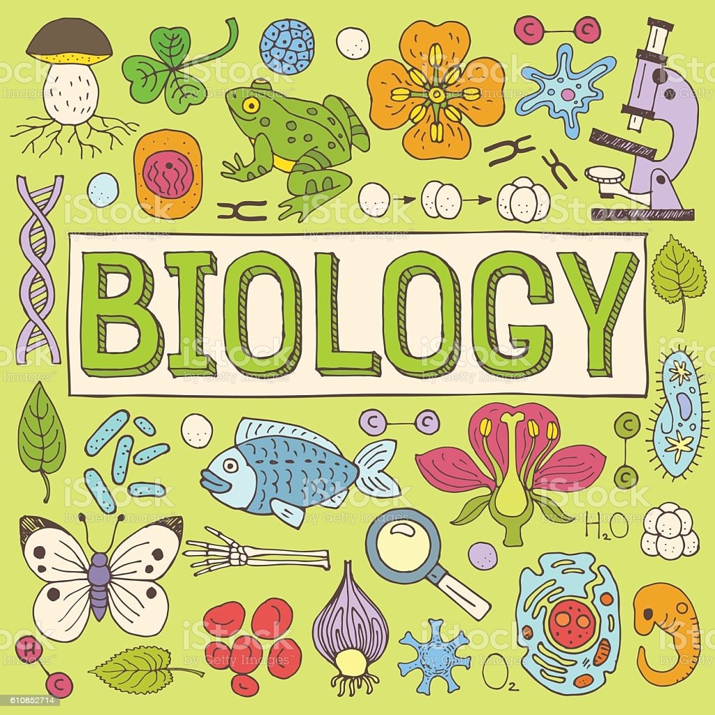 Cells, Cell Transport Review