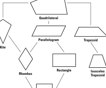 Properties of Quadrilaterals