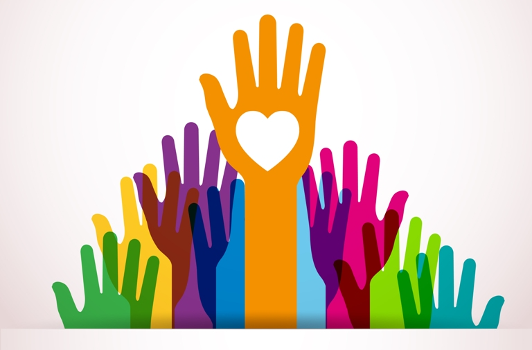 Vocabulario del voluntariado P8 REATTEMPT