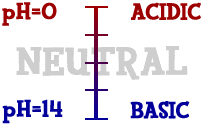 U9 Acids and Bases Neutralization