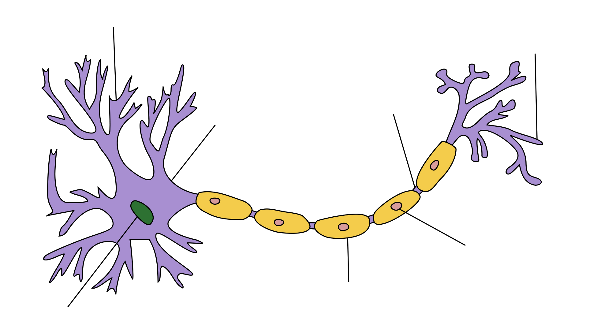 Neuron Review 2025