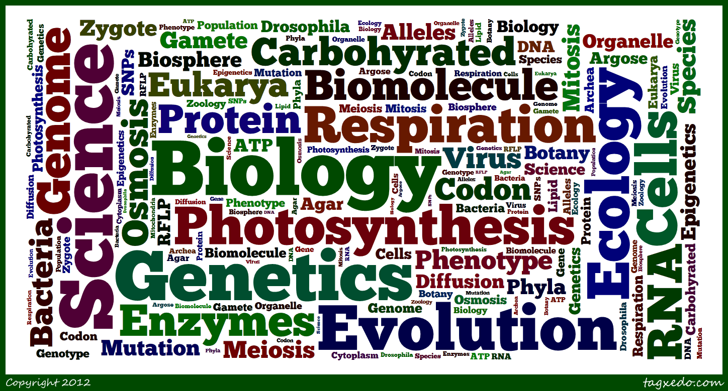 Honors Biology Semester 1 Exam Review