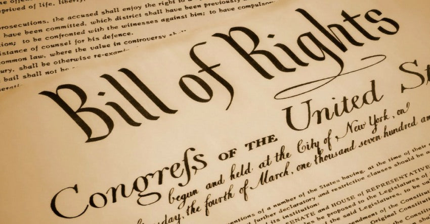 Understanding the Constitution and Bill of Rights