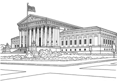 Three Branches of Government Review