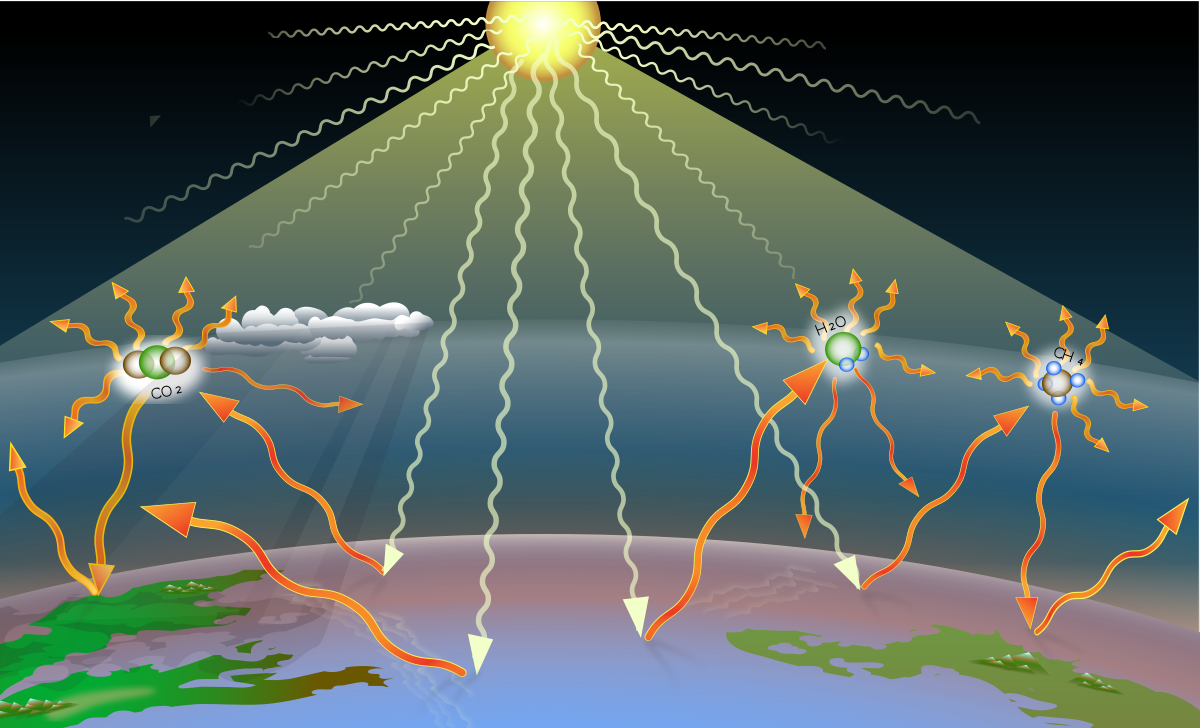 Understanding the Greenhouse Effect
