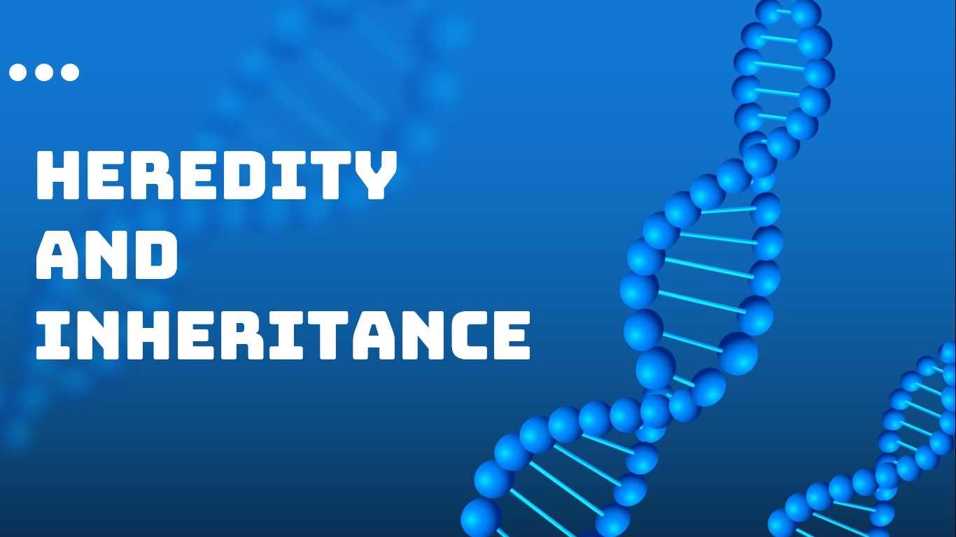 Inherited Traits and Adaptations 