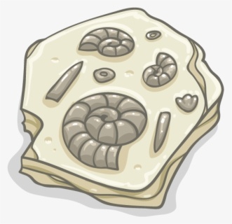 Chapter 2: Geological Time