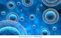  Cell Theory Review Packet 