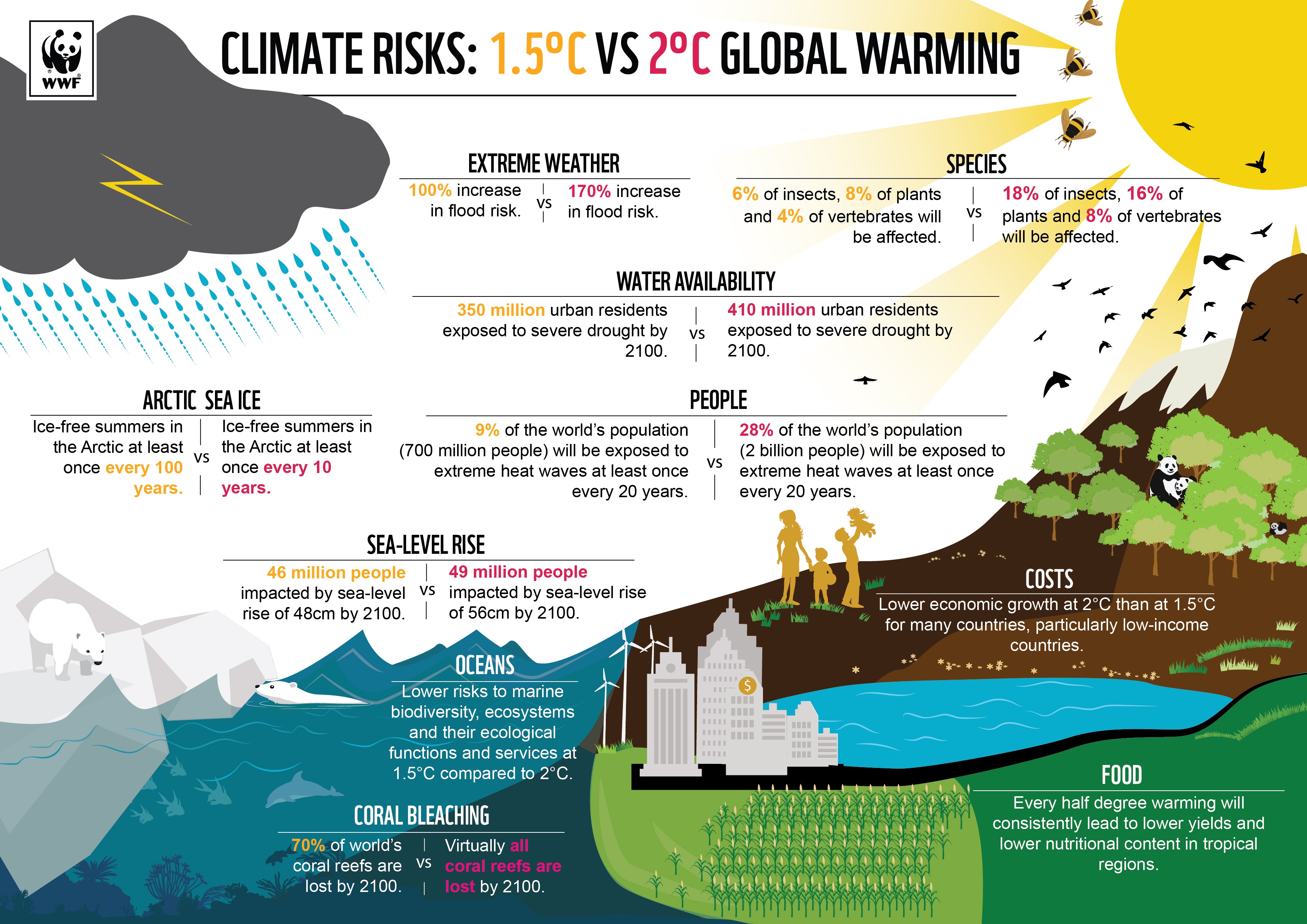Understanding Global Warming Concepts