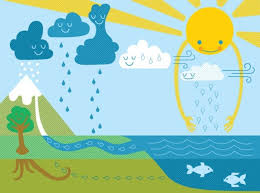 The Water Cycle
