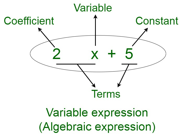 Parts of an Expression
