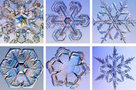 Stunning Snowflakes- Science World