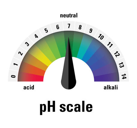 Acids and Bases Test