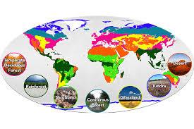Habitat and Ecosystem Flashcard