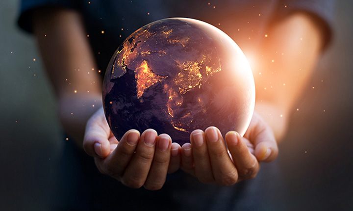 Human Impact on Wildlife and Habitats