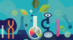 Physical Science *Final*
